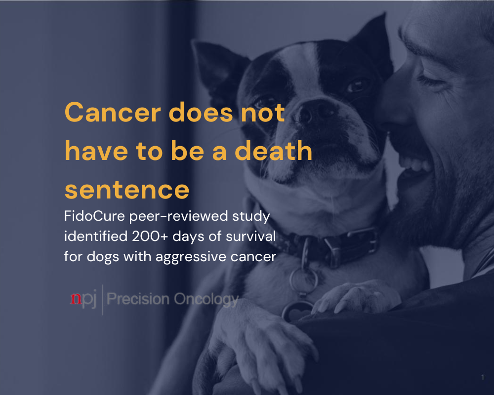 Cancer Does Not Have To Be A Death Sentence